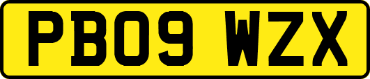 PB09WZX