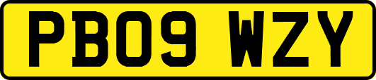 PB09WZY