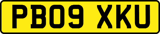 PB09XKU