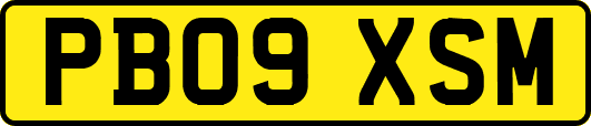 PB09XSM
