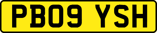 PB09YSH