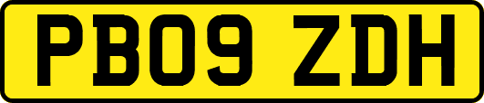 PB09ZDH