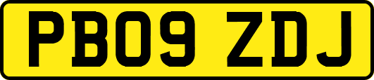 PB09ZDJ