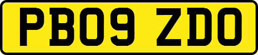 PB09ZDO