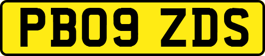 PB09ZDS