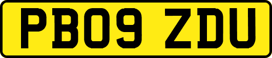 PB09ZDU