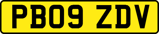 PB09ZDV