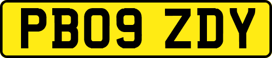 PB09ZDY
