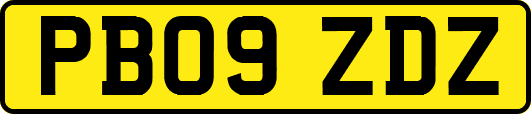PB09ZDZ