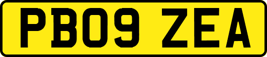 PB09ZEA