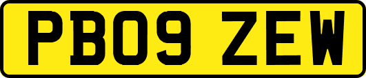 PB09ZEW