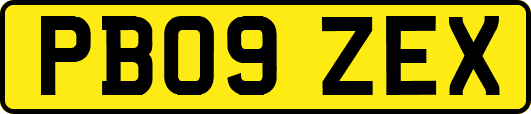 PB09ZEX
