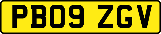 PB09ZGV
