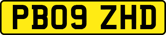 PB09ZHD
