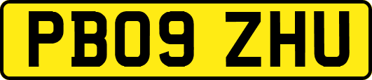 PB09ZHU