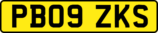 PB09ZKS