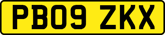 PB09ZKX