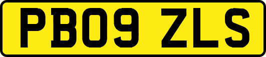 PB09ZLS