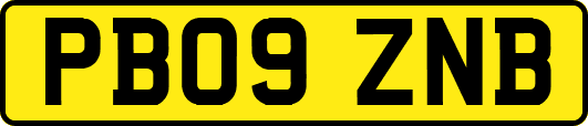 PB09ZNB
