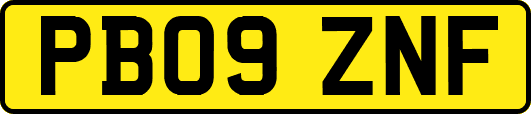 PB09ZNF