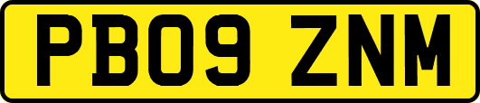 PB09ZNM