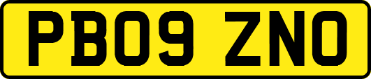 PB09ZNO