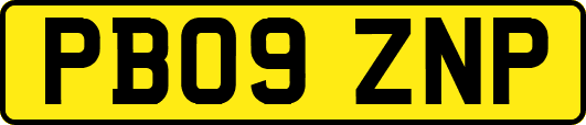 PB09ZNP