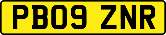 PB09ZNR