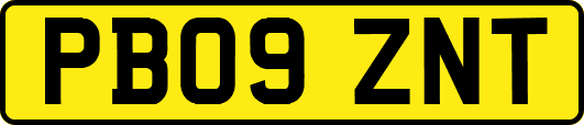 PB09ZNT