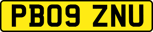 PB09ZNU