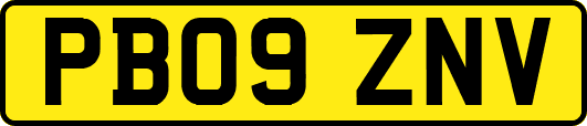 PB09ZNV