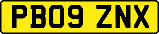 PB09ZNX