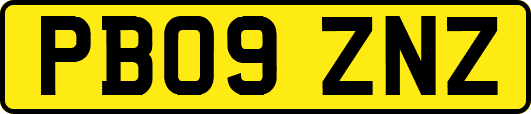 PB09ZNZ