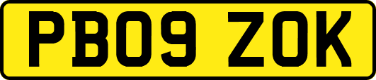 PB09ZOK