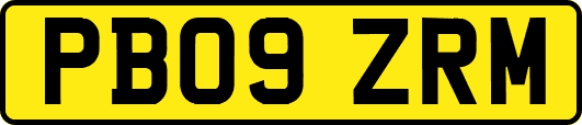 PB09ZRM
