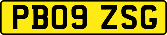 PB09ZSG