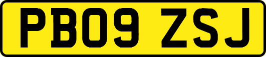PB09ZSJ
