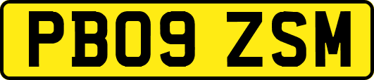PB09ZSM