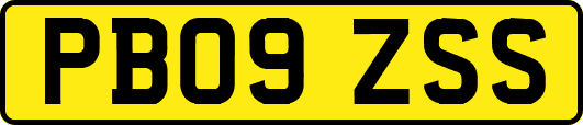 PB09ZSS