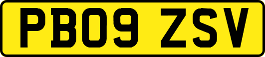 PB09ZSV
