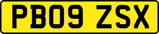 PB09ZSX