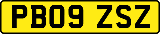 PB09ZSZ