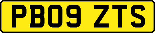 PB09ZTS