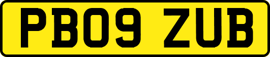 PB09ZUB