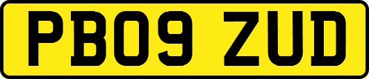 PB09ZUD