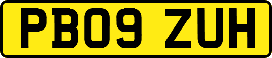 PB09ZUH