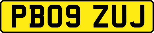 PB09ZUJ