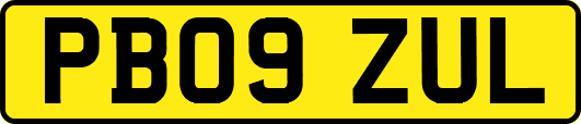 PB09ZUL