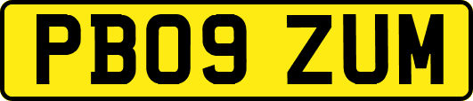 PB09ZUM