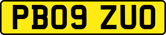 PB09ZUO